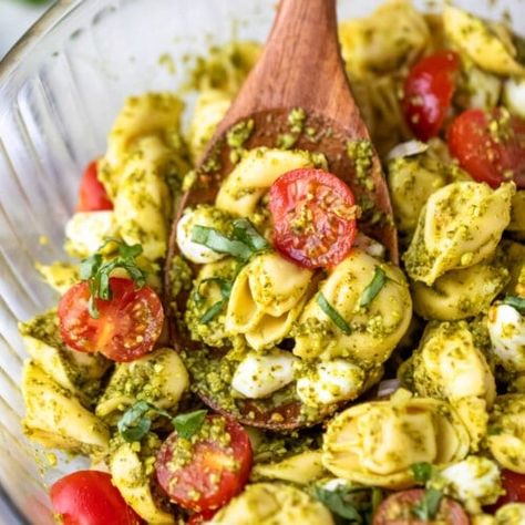 Pasta Salad Pesto, Pesto Tortellini Pasta Salad, Pesto Salad Recipes, Tortellini Pesto, Tortellini Pasta Salad Recipes, Tortellini Pasta Salad, Summer Pasta Salad Recipes, Salad Appetizer Cups, Cookout Side Dishes