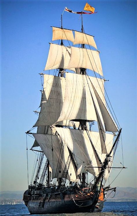 Sail on a 3 mast sailing ship. This is the HMS Surprise out of San Diego, CA Hms Surprise, Navi A Vela, Old Sailing Ships, Ship Of The Line, Clipper Ship, Tall Ship, Sailing Vessel, Pirate Life, Wooden Ship