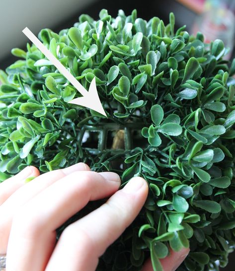 DIY Boxwood Easter Egg Topiary - The Craft Patch Easter Egg Topiary, Egg Topiary, Spring Topiary, Topiary Decor, Diy Topiary, Easter Topiary, Topiary Balls, Boxwood Landscaping, Topiary Diy