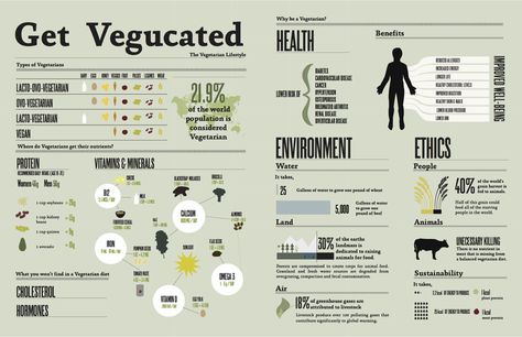 Get Vegucated #plant #based #vegetarian #vegan #infographic Vegetarian Facts, Vegan Facts, Vegetarian Lifestyle, Food Infographic, Best Protein Powder, Vegan Protein Powder, Best Protein, Utila, Plant Based Eating