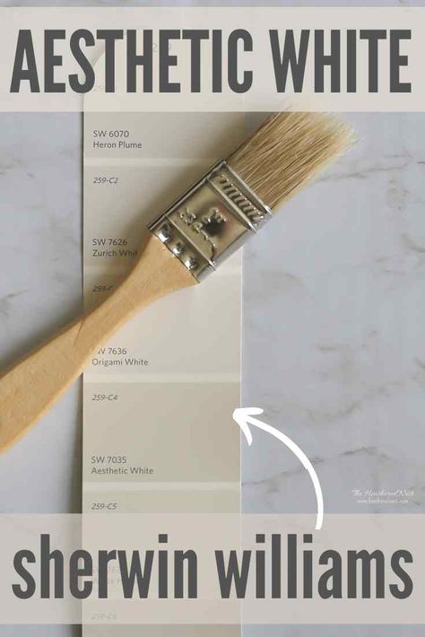 Sherwin Williams Aesthetic, Sherwin Williams Aesthetic White, Sherwin Williams Clary Sage, Benjamin Moore Nimbus, Williams Aesthetic, October Mist, Benjamin Moore Green, Neutral Gray Paint, Sage Green Paint Color