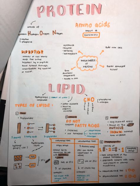 Lipids Notes, Notes Biology, Biology Notes, School Motivation, Mind Map, School Notes, Study Notes, Amino Acids, Biology