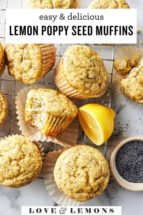 Lemon Poppy Seed Muffins Recipe - Love and Lemons Moist Lemon Poppyseed Muffins, Healthy Lemon Muffin Recipes, Gluten Free Lemon Poppyseed Muffins, Muffin Recipes Lemon Poppyseed, Gf Lemon Poppyseed Muffins, Lemon Protein Muffins, Lemon Poppyseed Muffins No Sour Cream, Lemon Poppyseed Muffins Easy, Lemon Poppyseed Muffins Gluten Free