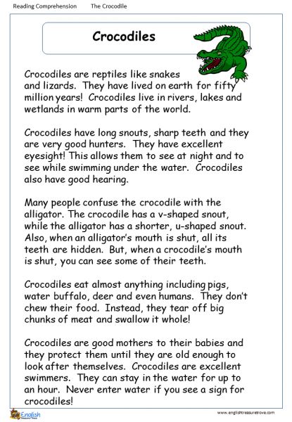 Crocodiles English Comprehension Worksheet – English Treasure Trove English Comprehension, Reading Comprehension For Kids, Fluency Passages, Reading Comprehension Lessons, 1st Grade Writing, English Grammar Worksheets, English Worksheets For Kids, English Story, Reading Comprehension Passages