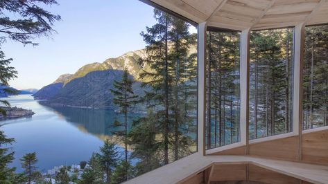 helen & hard fastens woodnest treehouse to living pine tree in norway Norwegian Architecture, Wooden Ramp, Treehouse Cabins, Norway Fjords, Timber Architecture, Norwegian Forest, Modern Windows, Glass Facades, Structural Engineering