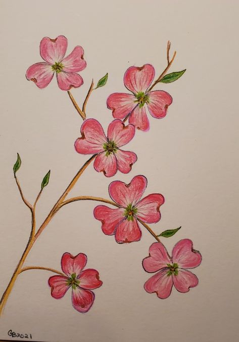 Colour Pencil Art Flowers, Simple Drawing With Colored Pencils, Colour Pencil Drawing Easy Flower, Colored Pencil Art Easy Ideas Flower, Simple Drawings Colorful, Flower Crayon Drawing, Colour Full Drawing, Easy Colour Pencil Drawings, Pencil Colour Sketches Easy