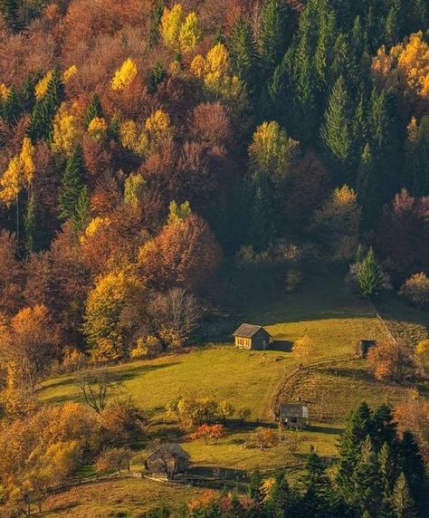 Carpathian Mountains, Autumn Foliage, Autumn Scenery, Best Seasons, Village Houses, Autumn Cozy, We Fall In Love, Autumn Aesthetic, Nature Aesthetic