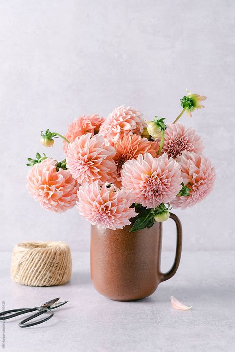 Light Pink Dahlia Bouquet, Dahlia Bouquet Aesthetic, Ranunculus Wedding Flowers, Dahlia Flower Aesthetic, Pink Dahlia Bouquet, Dahlia Flower Bouquet, Warrior Archetype, Dahlias Bouquet, Dahlia Wallpaper