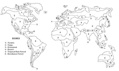 Biome Map Ecosystem Lessons, Biomes Activities, World Map Coloring Page, Temperate Forest, Blank World Map, India World Map, World Map Outline, Science Homeschool, World Map With Countries