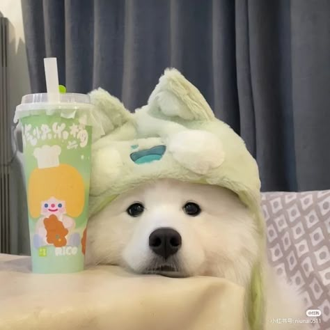 Dog Aesthetic Pfp, Cute Dog Aesthetic Wallpaper, Cartoon Dog Wallpaper, Aesthetic Animals Wallpaper, Funny Dog Wallpaper, Dog Wallpaper Aesthetic, Wallpaper Aesthetic Cartoon, Funny Cute Aesthetic, Cute Dog Aesthetic