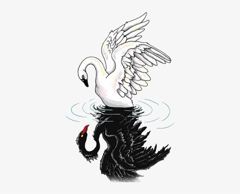 Black Swan Tattoo Movie, Black Swan Movie Tattoo, Black Swan Art Paintings, White Swan Tattoo, Swan Lake Tattoo, Desire Tattoo, Tattoo Transparent Png, Black Swan White Swan, Tattoo Transparent