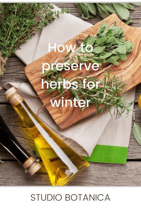 How to Preserve Herbs for Winter - Studio Botanica How To Preserve Herbs, Preserve Herbs, Preserving Herbs, Harvesting Herbs, Herb Garden, Fresh Herbs, Be Perfect, To Learn, Herbs