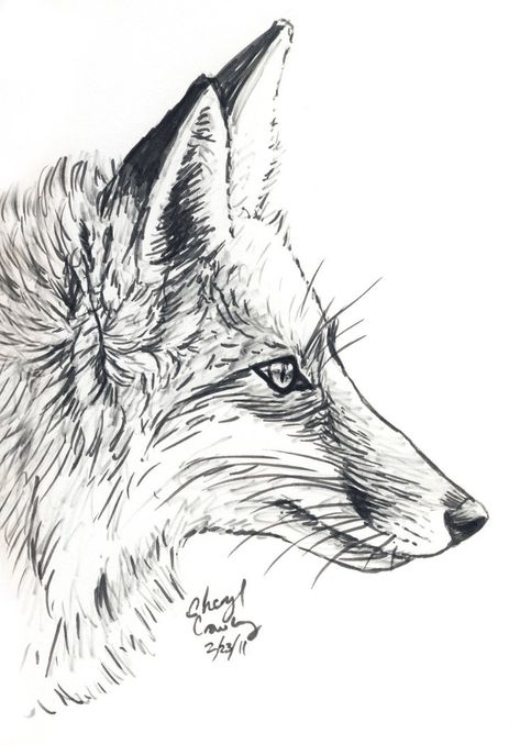 Fox Profile by silvercrossfox.deviantart.com on @DeviantArt Fox Profile, Drawing Profile, Fox Artwork, Fox Drawing, Fox Tattoo, Day Day, Sketch Inspiration, Fox Art, Animal Sketches