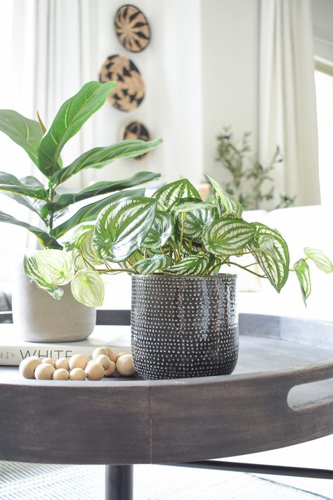 Faux House Plants, Artificial House Plants Home Decor, Faux Plant For Shelf, Plant For Office Desk, Best Faux Plants On Amazon, How To Clean Faux Plants, Outdoor Interior Design, Popular House Plants, Peperomia Plant