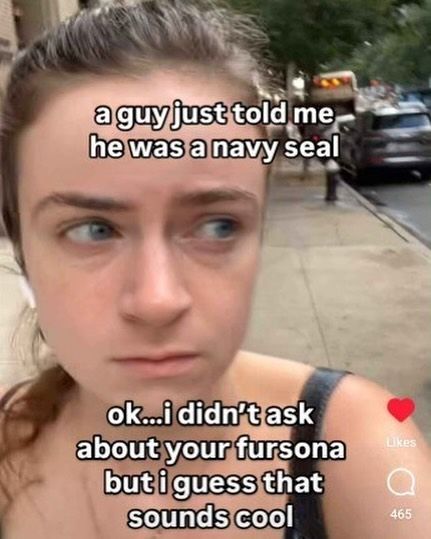 Lowkey w fursona Seal Fursona, A Seal, Navy Seal, Navy Seals, Juicer, Humor, Navy, Memes, Funny