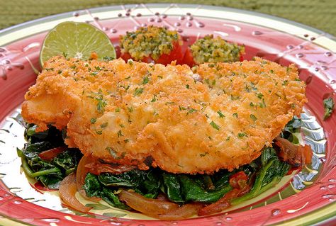 Southern Fried Grouper Fried Grouper Recipes, Grouper Fish Recipes, Fried Grouper, Grouper Recipes, Grouper Fish, Seafood Entrees, Florida Food, Shellfish Recipes, Dutch Recipes