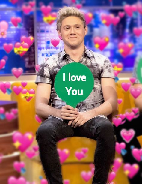 Valentines Memes, One Direction Pictures, Niall Horan, Reaction Pictures, One Direction, I Love You, Love You, Humor, Memes