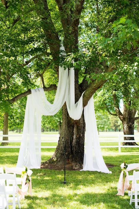 simple outdoor wedding decor ideas. Elegant outdoor wedding ceremony decoration ideas on a budget. How to decorate a wedding on a budget. Simple elegant outdoor wedding ceremony decoration. Tree Arbour Wedding, Fabric Draped Tree Wedding, Tree Wedding Ceremony Flowers, Wedding Tree Backdrop, Wedding Backdrop Fabric, Under Tree Wedding Ceremony, Tree Backdrop Wedding, Outdoor Wedding Ceremony Backdrop, Tree Wedding Ceremony