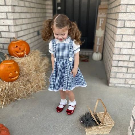 Halloween Costumes 3 Year Girl, Dorothy Family Halloween Costume, Girl Toddler Halloween Costumes, Dorothy Costume With Dog, Dorothy Toddler Costume, Dorothy And Toto Costume, Halloween Toddler Costumes, Dorothy Costume Kids, Halloween Costumes Toddler Girl