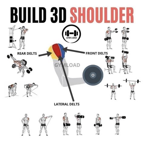 Deltoid Muscle Exercises, Posterior Shoulder Workout, Anterior Shoulder Workout, Posterior Deltoid Workout, Lateral Deltoid Exercises, Rear Deltoid Workout, Lateral Deltoid Workout, Side Deltoid Exercises, Side Delts Shoulder Exercises