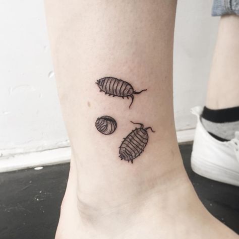 2,193 Likes, 40 Comments - Olivia Harrison (@fearbear) on Instagram: “Pill bugs! Thanks Josie.” Skin Pictures, Pill Bugs, Rad Tattoos, Olivia Harrison, Funky Tattoos, Bug Tattoo, Insect Tattoo, Stick N Poke, Sick Tattoo