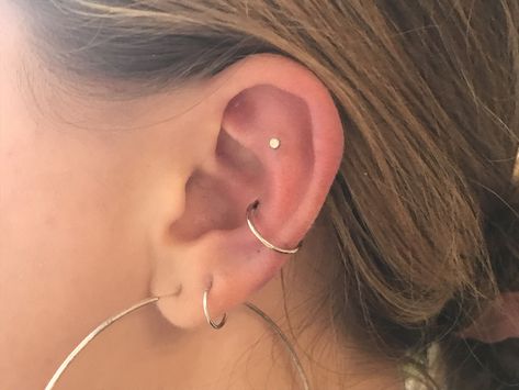 Ear Peircings, Flat Piercing, Conch Hoop, Metal Head, Conch Piercing, Piercing Tattoo, Colby, Jewelry Designer, Jewelry Inspo