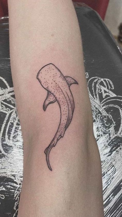 Stingray Tattoo On Back, Dainty Whale Tattoo, Orca Whale Tattoo Design, Small Whale Shark Tattoo, Shark Arm Tattoo, Reef Shark Tattoo, Whale Shark Tattoo Design, Marine Biology Tattoo, Orca Whale Tattoo