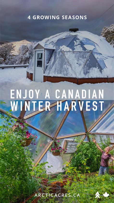 Tropical Greenhouse In Winter, Grow Dome Green Houses, Winter Proof Greenhouse, Geometric Dome Greenhouse, Growing Dome Greenhouse, Canadian Winter Greenhouse, Earth Sheltered Greenhouse, Deep Winter Greenhouse, Arctic Greenhouse