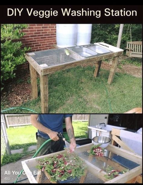 Veggie Washing Station, Aesthetic Gardening, Gardener Aesthetic, Washing Station, Gardening Aesthetic, Backyard Fence, Homestead Gardens, Vegetable Garden Diy, Plants Growing