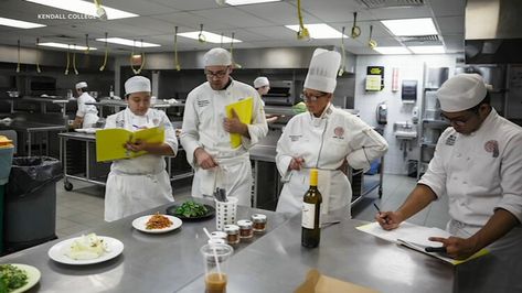 Cooking up a Storm: Kendall College shares vegan grilled cheese recipe — ABC7 Chicago Vegan Grilled Cheese, Culinary Arts Schools, Grilled Cheese Recipe, Vegan Grilling, Grilled Cheese Recipes, Cook Up A Storm, Cheese Recipe, Culinary Arts, A Storm