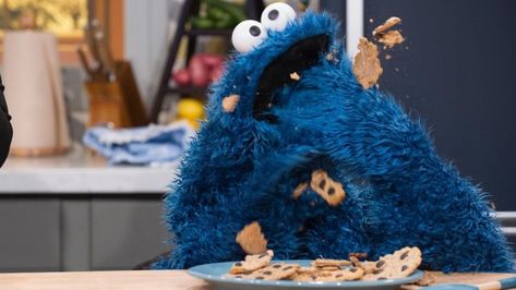 Why Cookie Monster Deserves His Own TV Show Meat Stromboli, The Cookie Monster, Monster Cookies Recipe, Monster Cookie, Sesame Street Muppets, Discovery Kids, Rachael Ray, Jim Henson, Cookie Monster