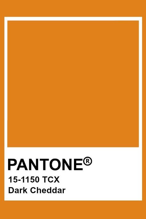 PANTONE Dark Cheddar Apricot Moodboard, Colour Swatches Pantone, Orange Pantone Colour Palettes, Apricot Pantone, Orange Pantone Color, Orange Pantone, Apricot Colour, Pantone Orange, Pantone Tcx