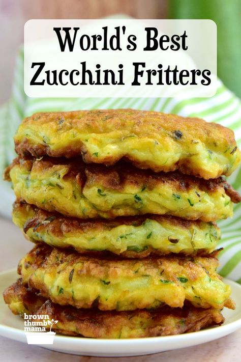 Has your garden gone into zucchini overload? Make these delicious, savory zucchini fritters and use up all those extra squash. Yum! Flat Stomach Foods, Homestead Cooking, Squash Fritters, Zucchini Fritters Recipe, Homestead Recipes, Best Zucchini, Cheesy Appetizer, Iron Recipes, Zucchini Fritters