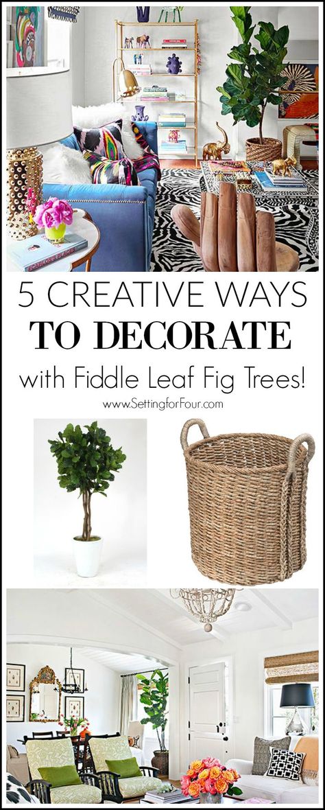 5 Creative Ways to Decorate With Fiddle Leaf Fig Trees Fig Trees, Fiddle Leaf Fig Tree, Ficus Lyrata, European Home Decor, Fiddle Leaf, Fiddle Leaf Fig, Design Board, Building A New Home, Fig Tree