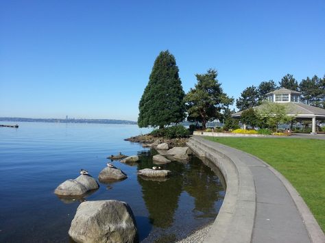 Sunny day at Kirkland Marina, Kirkland, WA www.livekirklandwa.com Lake Washington, Kirkland Washington, Relocation, Sunny Day, Home Town, Small Town, Sunny Days, Golf Courses, Seattle