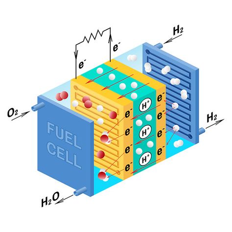 Hydrogen Powered Cars, Galvanic Cell, Cell Diagram, Cell Parts, Cells Project, Chemical Energy, Hydrogen Gas, Business Car, Hydrogen Fuel Cell