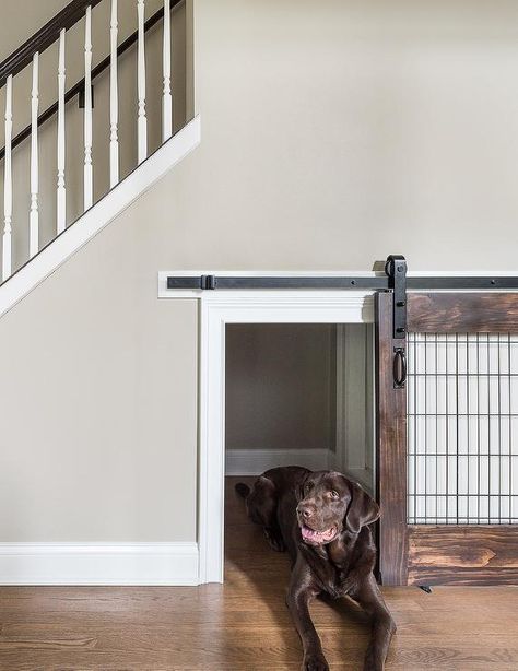 Indoor Dog Room, Door Under Stairs, Built In Dog Bed, Bed Under Stairs, Dog Room Design, Under Stairs Dog House, Under Staircase, Room Under Stairs, Dogs House