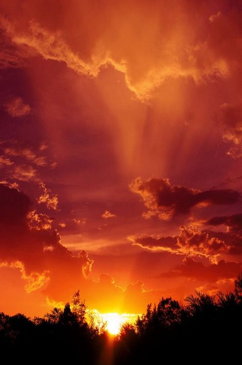 Music Background, Orange Aesthetic, Beautiful Sunrise, Sunset Pictures, Sunrise Photography, Beautiful Sky, Sky Aesthetic, Beautiful Sunset, Amazing Nature