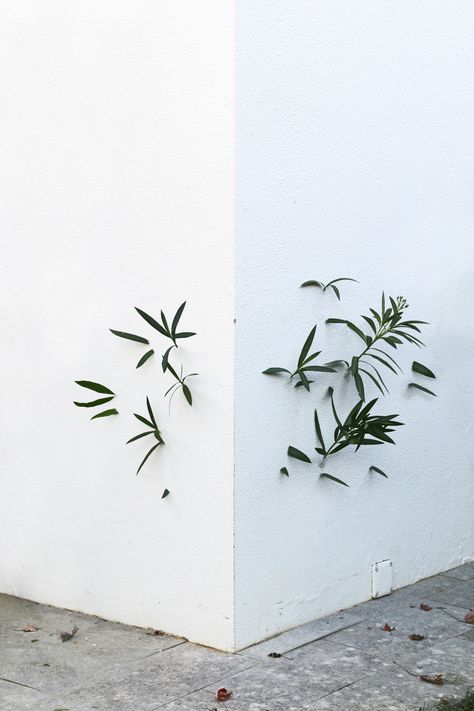 Conceptual photography by Octavi Serra Urban Art Installation, Colossal Art, Art Installation, Sculpture Installation, Land Art, Conceptual Art, Public Art, Ikebana, Banksy