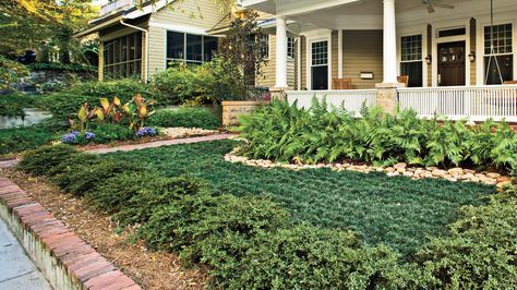 ultimate low-maintenance yard -- Define your space with a fence, wall, or low hedge of shrubs that never need pruning, as Walt did with the Heller Japanese hollies near the street. Other good choices: dwarf yaupon holly or rosemary. Lawn Free Front Yard, Lawn Free Landscaping, Low Maintenance Landscape Ideas, Lawn Free Yard, Low Maintenance Landscape, Decorative Garden Stones, Low Maintenance Yard, Lawn Alternatives, Small Front Yard Landscaping