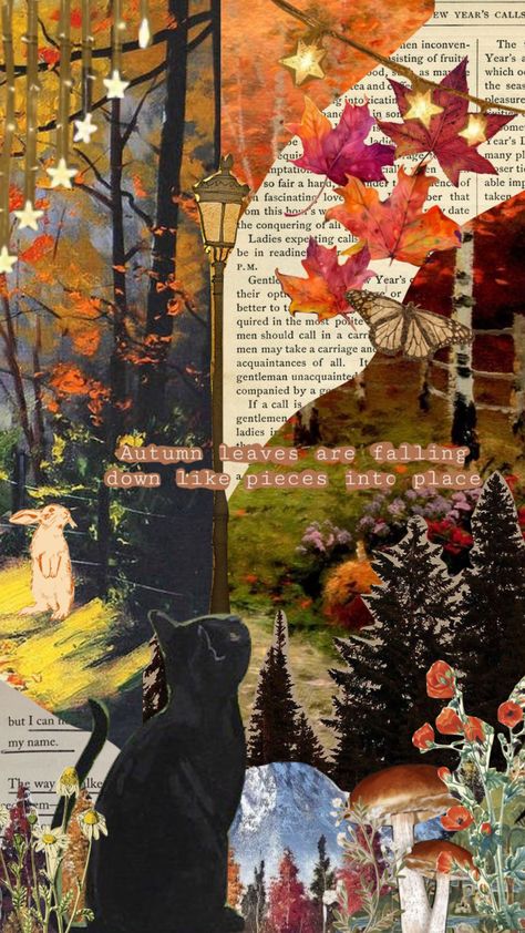 i’m so excited for fall u guyssss #taylorswift #vintage #collage #aesthetic #autumn #cat #fall #moodboard November Collage, Collage Autumn, Vintage Collage Aesthetic, Autumn Collage, Fall Moodboard, Fall Collage, Autumn Cat, Excited For Fall, Fall Wallpapers