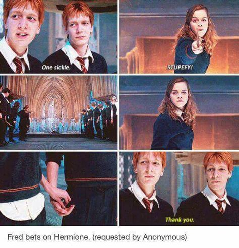 Fremione is adorable but I can't bare to ship it because I would get too emotional. Fred And Hermione, Fred And George Weasley, Images Harry Potter, Harry Potter Ships, Weasley Twins, Fred Weasley, Harry Potter 2, George Weasley, Harry Potter Jokes