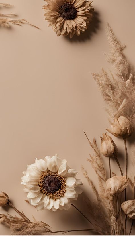 Photo Asethic, Neutral Boho Wallpaper Iphone, Beige Aesthetic Flowers, Nude Wallpapers Aesthetic, Dried Flower Wallpaper, Neutral Wallpaper Iphone Aesthetic, Brown Aesthetic Images, Neutral Wallpaper Iphone, Aesthetic Vintage Background