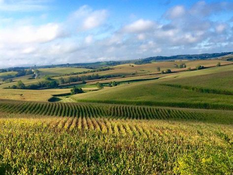 Iowa Farmland, Iowa Landscape, Midwest Aesthetic, Iowa Farms, Reasons To Stay, Chair Art, Midwest Travel, Money Stacks, Scenery Pictures