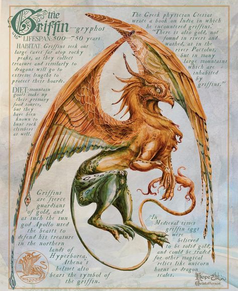 ✨The golden gryphon✨ Happy folklore Friday guys! These creatures can be found throughout mythologies, but for this field note I wanted to… | Instagram Magical Creatures Mythology, Mystic Animals, Mystical Creatures Mythology, Fantasy Creatures Mythology, Mystic Creatures, Magical Beasts, Monster Book, Have A Fabulous Day, Mythical Monsters