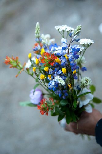 Annie's Birthday Bouquet, Wildflowers picked by Ben | Flickr - Photo Sharing! Bouquet Champetre, Birthday Flowers Bouquet, A Bunch Of Flowers, Birthday Bouquet, Wildflower Bouquet, Trendy Flowers, Bouquet Of Flowers, Bunch Of Flowers, Beautiful Bouquet