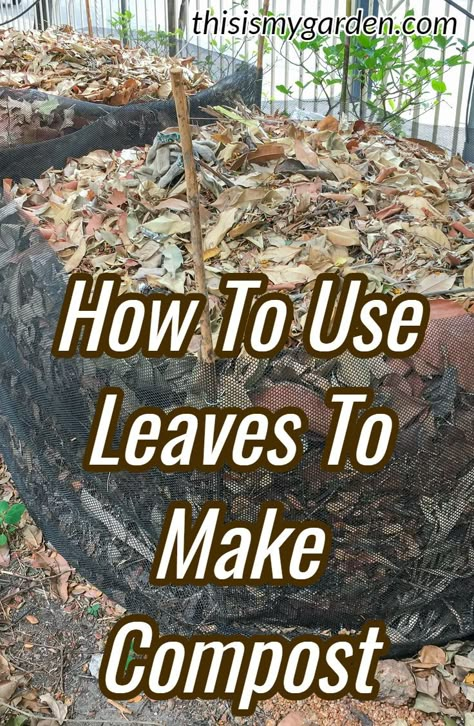 How To Compost Leaves, Leaf Compost Bin, Making Compost For Garden, How To Make Compost For Garden, Composting Leaves, Composting For Beginners, Leaf Compost, Making Compost, Tumbling Composter