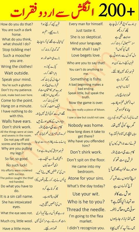 English To Urdu Sentences, Urdu Vocabulary, English To Urdu, English Speaking Book, Simple English Sentences, English Grammar Notes, English Sentence, Basic English Sentences, English Phrases Sentences