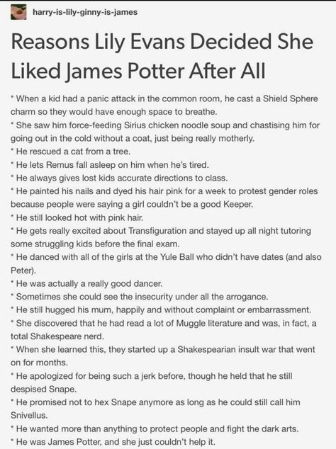 James Potter Personality, Lily X James, James X Lily, Jily Headcanon, Harry Potter Brief, Geraldine Somerville, James And Lily Potter, Lily And James, James And Lily