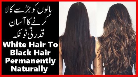 Homemade Hair Oil For Black Hair | White hair to black hair permanently Naturally | Black Hair Oil | https://youtu.be/LAhXreBmkJs Subscribe This Channel https://www.youtube.com/c/TheKnowledgeofWorld how to hair black homemade hair highlights colour homemade black hair dye tea hair dye black hair colour natural hair colour how to black hair naturally at home permanently black hair oil white hair problem solution oil white hair problem solution baba ramdev white hair colour بالوں کو جڑ سے ک Hair Dye Black Hair, Dye Black Hair, Black Hair Oil, Hair Problems Solutions, Homemade Hair Oil, Hair Problem, Baba Ramdev, White Hair Color, Black Hair Dye